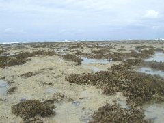 ���A�m�̊C3