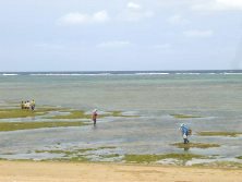 ���A�m�̊C1