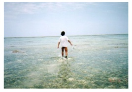 �咪�̊������̐V��C��