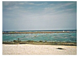 �咪�̊������̋g��C��