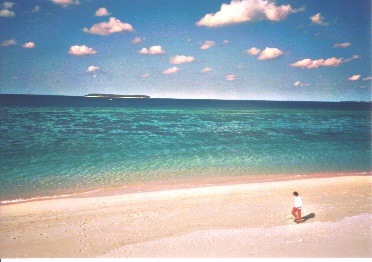 ����s�[�`1