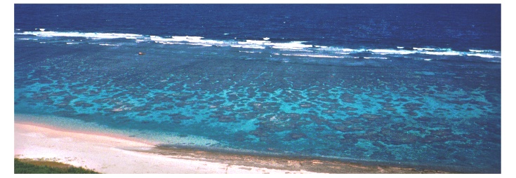 �g��C�ݑS�i