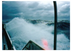 �g�Ɗԓ��֌�����