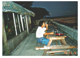 �r�[��������