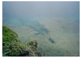 �T�o������