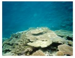 ���d����3