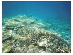 ���d����2