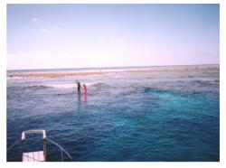 ���d����1